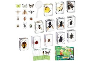 Artojoy Insect in Resin Specimen, 12 PCS Scientific Educational Bugs Collection, Science Classroom Preschool Display, Real Specimens of Butterflies Beetles Preserved, Stickers, Oddities(Total 61pcs)