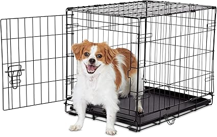 animaze training pads