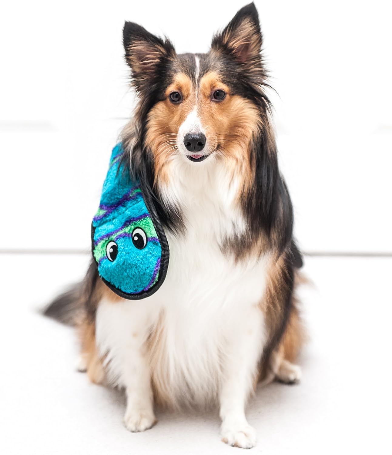 Pet Supplies : Pet Squeak Toys : Outward Hound Stuffingless Snake with Invincible Squeaker Plush Dog Toy : 
