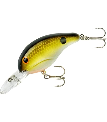 Amazon.com : BANDIT LURES Crankbait Series 100 200 & 300 Bass