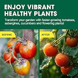 Doff 3L Tomato Pour and Feed Plant Fertiliser for Tomatoes Vegetables Flowers view 6