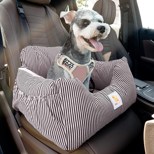 Share 198+ imagen bloblo dog car seat In.thptnganamst.edu.vn