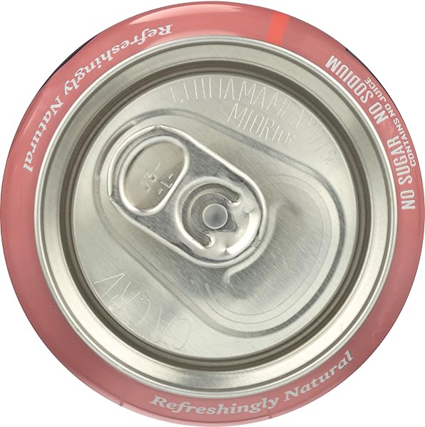 POLAR SELTZER WATER, GRAPEFRUIT, 12 FL OZ