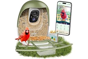 HIXX Bird Feeder with Camera | AI Recognition, Solar-Charged Video Bird Feeder Camera, Auto-Capture Video & Bird Arrival Aler