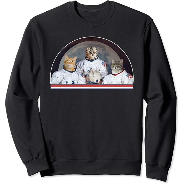 Funny 3D Space Flying Cat Hoodie - Unisex Graphic Sweatshirt, Casual Pullover For Men & Women