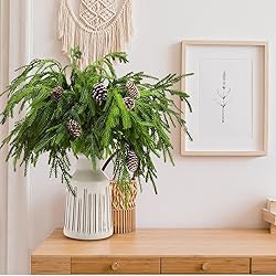 Jutom 12 Pcs Christmas Norfolk Pine