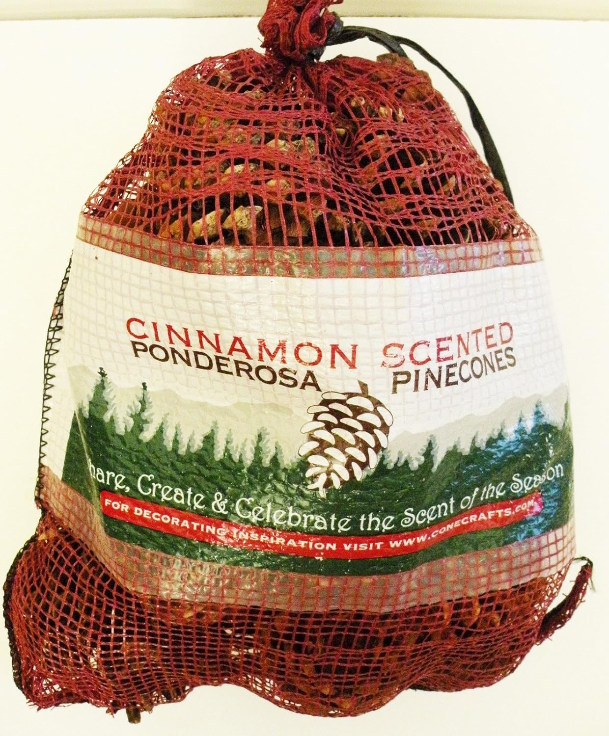 The 10 Best Cinnamon Fragrance For Pine Cones