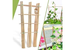 BIOTOLOT 10 Pack 16" Bamboo Trellis for Climbing Plants-Natural Garden Ladder Fan -Shaped Plants Support Trellis for Potted Plant Decor in Door