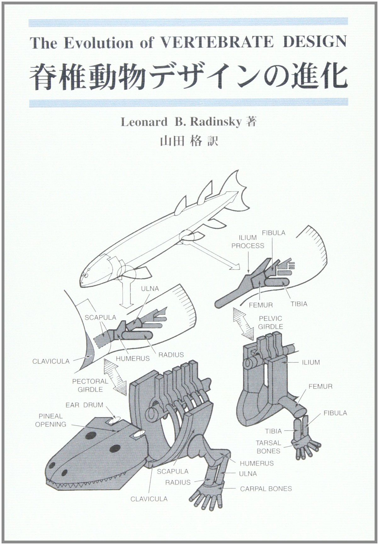 脊椎動物デザインの進化 Leonard B Radinsky 格 山田 本 通販 Amazon