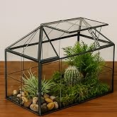 Geometric Terrarium Planter w/Swing Lid, House Shape Black Glass Terrarium | Handmade Glass Box, Vintage Tabletop Miniature Terrarium, for Succulent, Cacti, Air Plants (Not Watertight, 9.2x5.5x7.3 inch)
