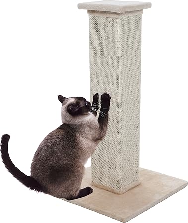 colonel cat scratching post