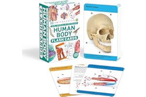 Our World in Pictures Human Body Flash Cards
