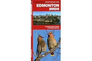 Edmonton Birds