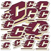 Desert Cactus Central Michigan University Sticker CMU Chippewas Vinyl Decals Laptop Water Bottle Car Scrapbook Sheet T1 (Type 1-1)