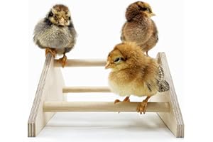 Backyard Barnyard Mini Chick Perch Strong Roosting Bar Made in The USA!!! Jungle Gym Chicken Toys for Coop and Brooder for Baby Chicks El Pollitos La Pollita Pollos Gallinas Polluelos