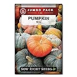 Sow Right Seeds - Bulk Mixed Pumpkin Seeds for