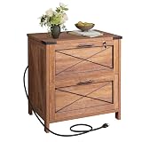 DEVAISE Lateral File Cabinet with Lock, 2 Drawers & Charging Station, Farmhouse Wood Printer Stand with Large Storage, Fits A4/Letter/Legal Hanging Files, Oak