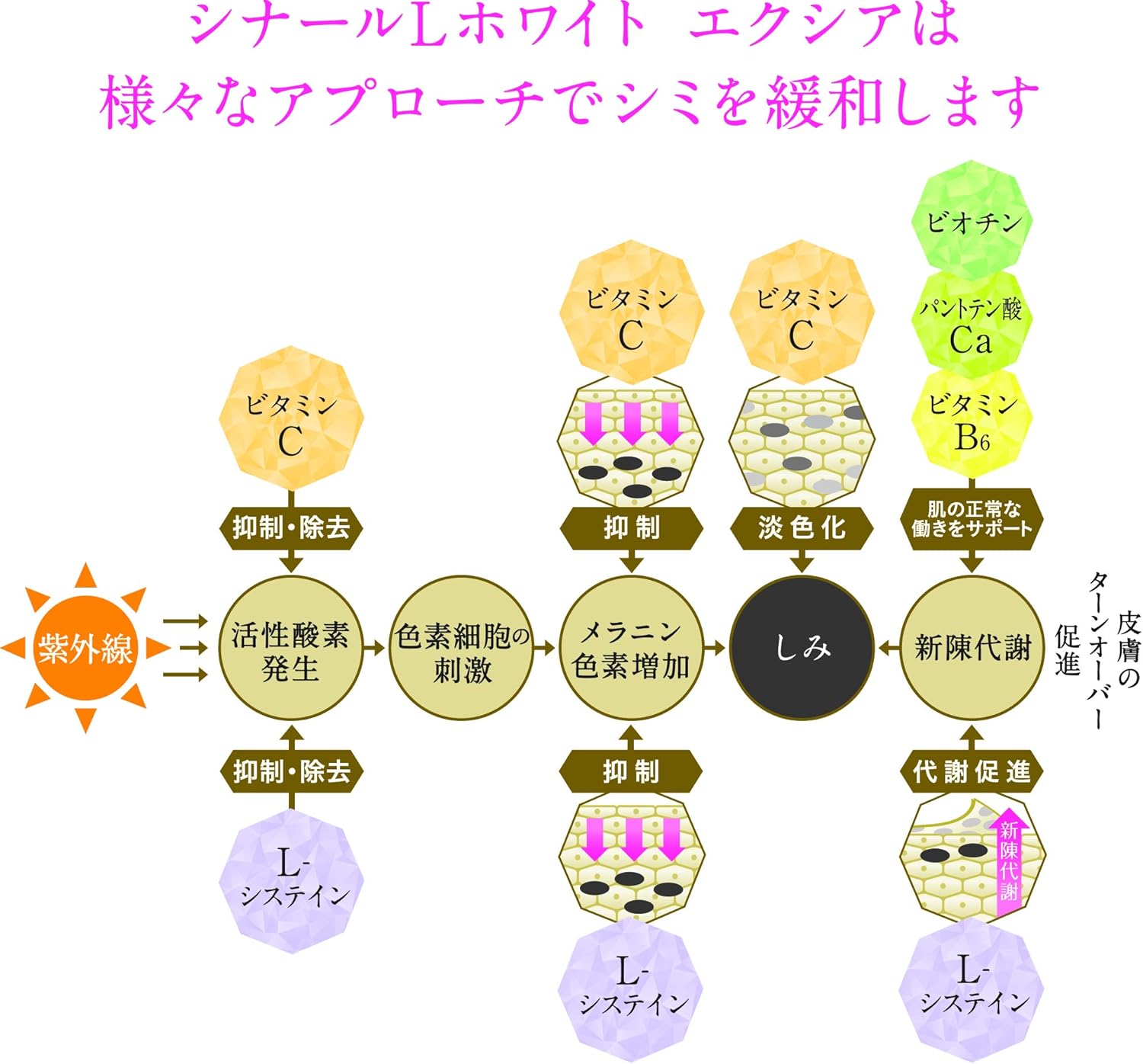 Amazon 第3類医薬品 シナールlホワイト エクシア 180錠 シオノギヘルスケア ビタミン剤