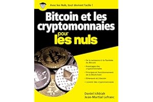 Bitcoin et cryptomonnaies pour les nuls (French Edition)