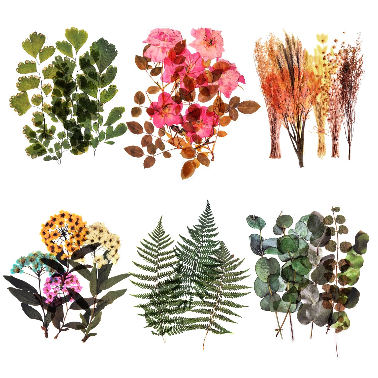 Mayplous 6 Packs Big Size Wall Sticker Decoration Plant Floral Decal for Window Glass Door Scrapbooking Diary Album Journal Arts and Crafts (Weekend)