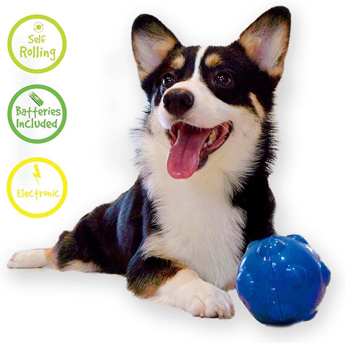 dog ball that rolls by itself