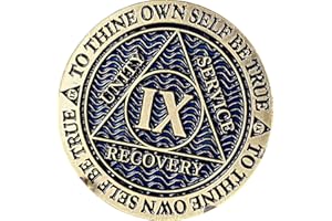 RECOVERYCHIP 9 Year AA Medallion Reflex Antique and Blue Color Bronze Chip IX