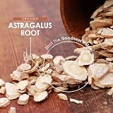 Alpha01 Organic Astragalus 2100mg Vegan Capsules 90 Count view 4
