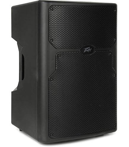 Amazon.com: Peavey PVX 15p 15