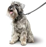 Beaphar Gentle Leader Head Collar for Small Dogs - Anti-Pull Training Aid - view 4