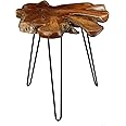 Bare Decor Evan Accent End Table with Solid Root Top, Teak