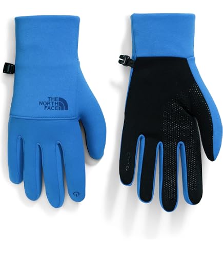 Amazon.com: The North Face Men's Apex Insulated Etip Glove, Stone