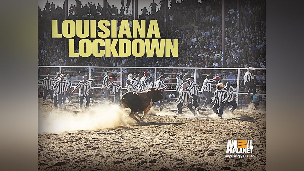 Watch Lockdown Season 2 Prime Video