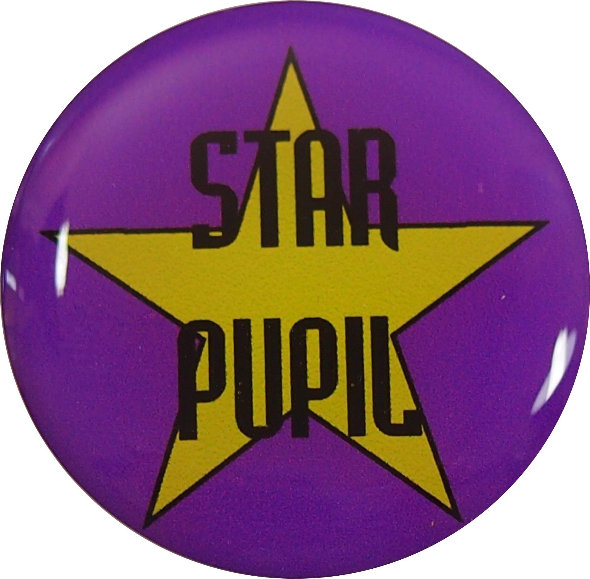 Star pupil pin badge with FREE shipping: pack of 5 (purple)