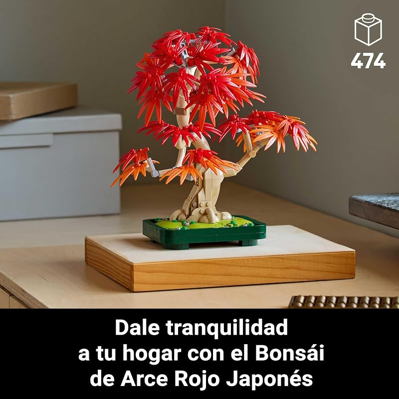 Botanicals Bonsái de Arce Rojo Japonés 10348