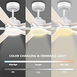 72" Large Smart Ceiling Fan with Lights
