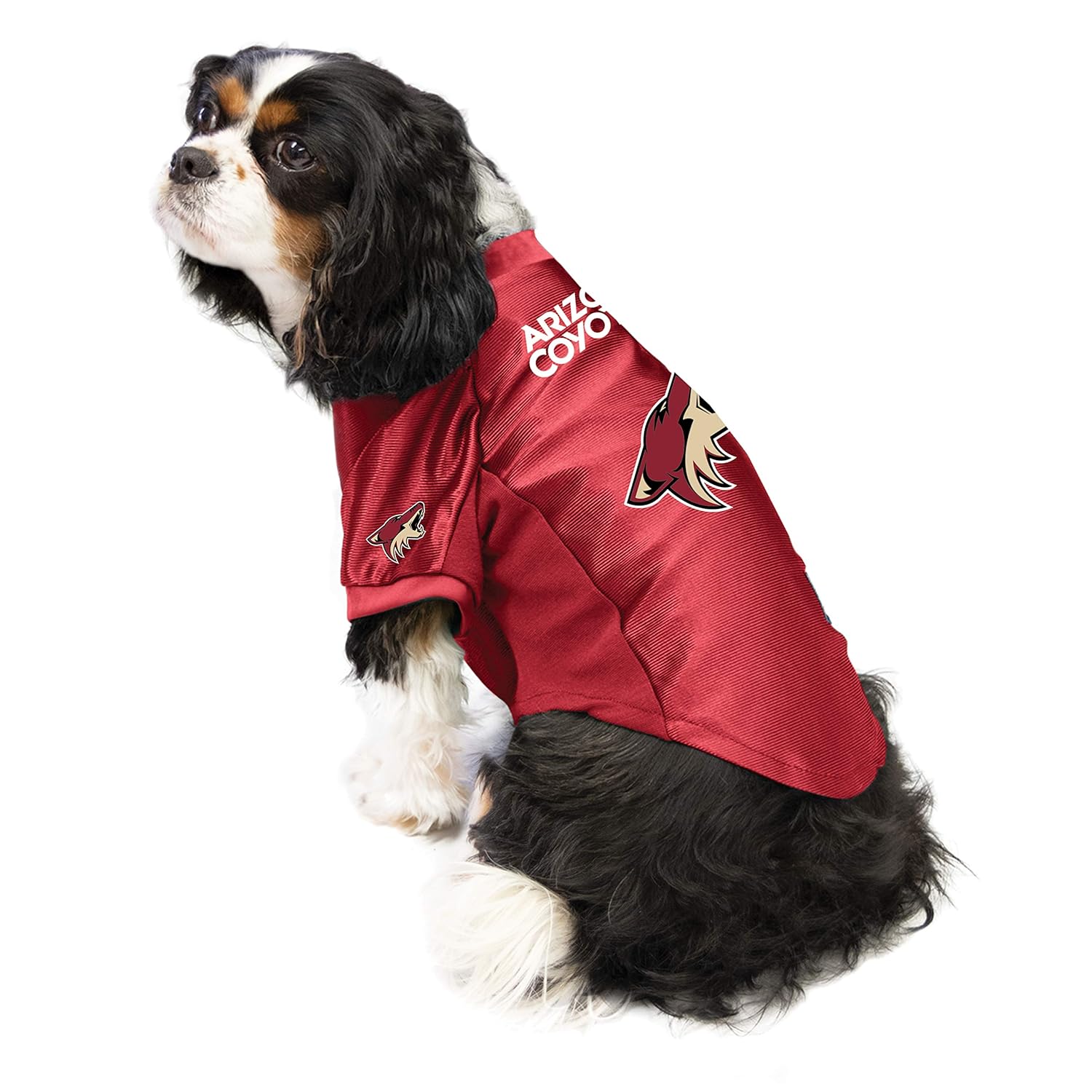 nhl dog jersey
