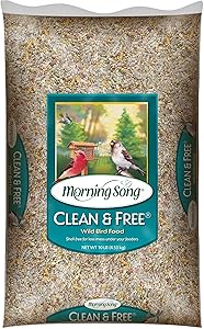 Morning Song 11959 Clean and Free Wild Bird Food, 10-Pound