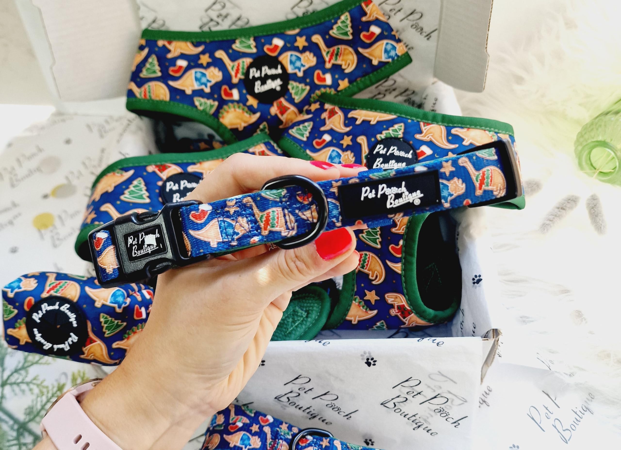 Christmas Dino Rawr Biscuits Dog Collar XS