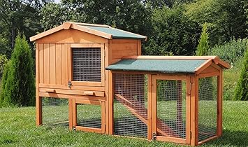 Directachat56 Clapier Poulailler En Bois Massif150 Cm Amazonfr