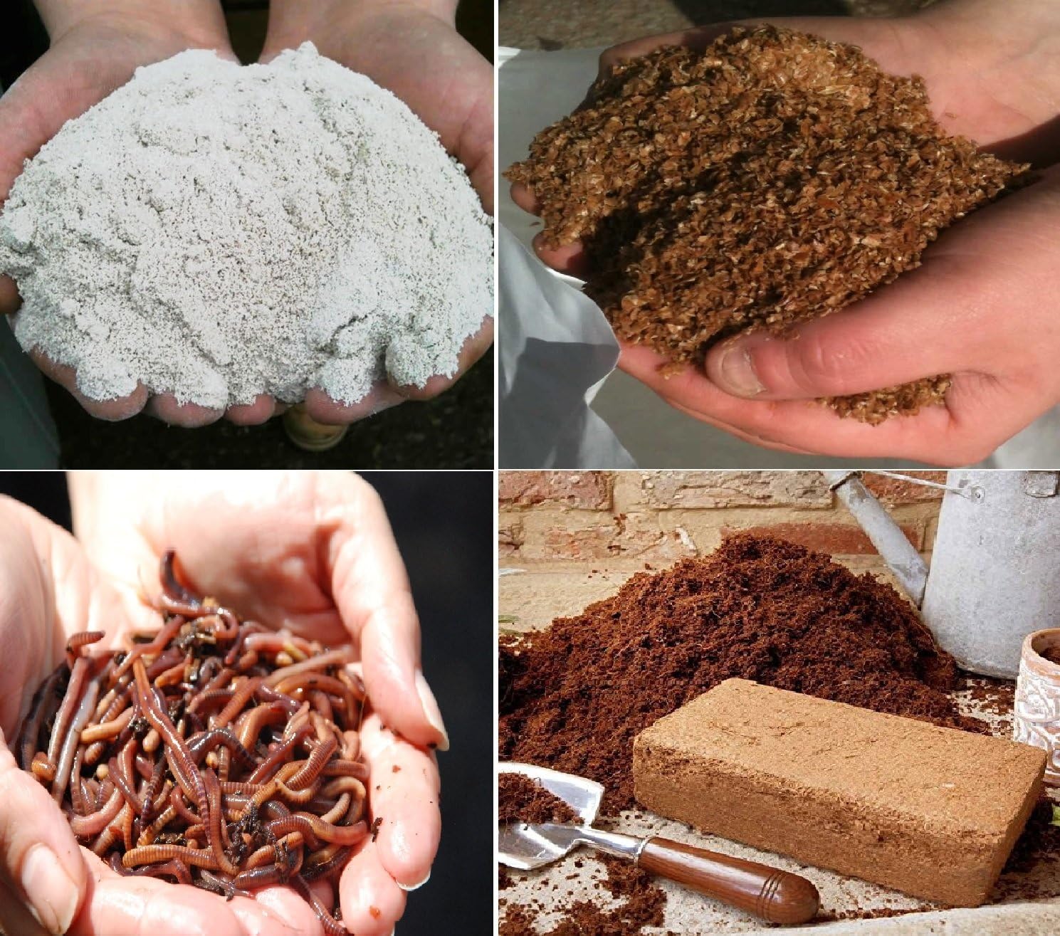 Super Saturday Original Organics Standard Pet amp Dog Poo Wormery