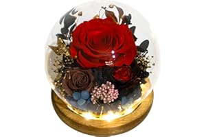 Valley of Rain & Forest Long-Lasting Real Flowers, Unique Floral Gift For you to send Love for All Occasions, for Indoor Decoration (Red Rose, Brown Rose, Black-Red Austin Rose)