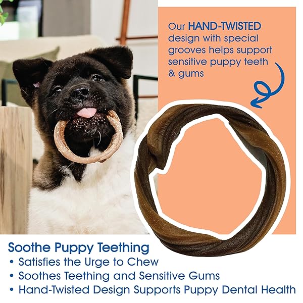 N-BONE PUPPY TEETHING RINGS TASTE OF TEXAS PULLED PORK FLAVOR 3 COUNT