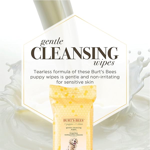 BURT’S BEES FOR PETS GENTLE CLEANSING PUPPY WIPES WITH BUTTERMILK, 98% NATURAL ORIGIN FORMULAS, HYPOALLERGENIC DOG WIPES CLEANING, DOG CLEANING WIPES, DOG WIPES FOR PAWS AND BUTT, 50CT