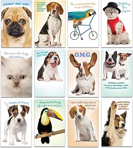 Prime Greetings Assortiment De 24 Cartes Danniversaire