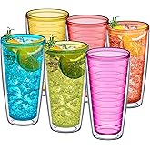 Amazing Abby - Alaska - 24-Ounce Insulated Plastic Tumblers (Set of 6), Double-Wall Plastic Drinking Glasses, Mixed-Color Reusable Cups, BPA-Free, Shatter-Proof, Dishwasher-Safe