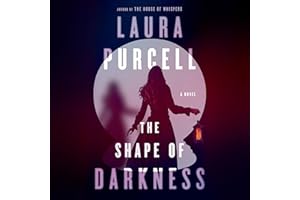 The Shape of Darkness: A Novel
