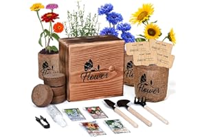 Meekear Indoor Starter 4 Kit with Complete Gardening Kit & Wooden Box, Growing into Shasta Daisy, Cornflower, Sunflower, Zinnia