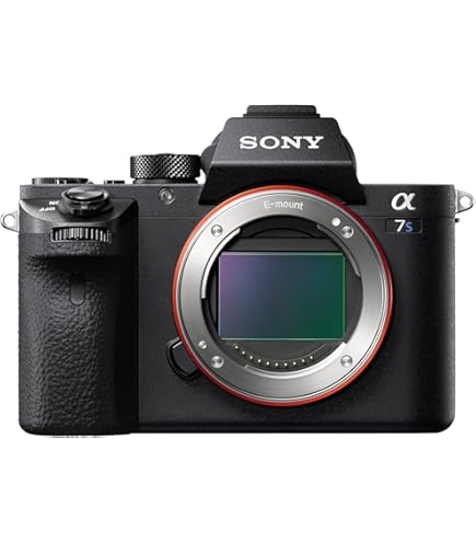 Amazon.com : Canon EOS 6D 20.2 MP CMOS Digital SLR Camera