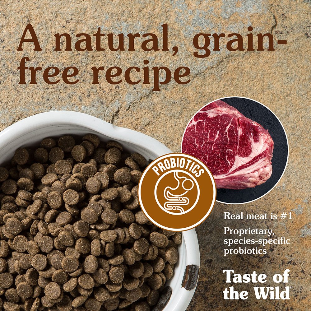 The Best Dog Food In 2020 What Do Today’s Dogs Like The Most?