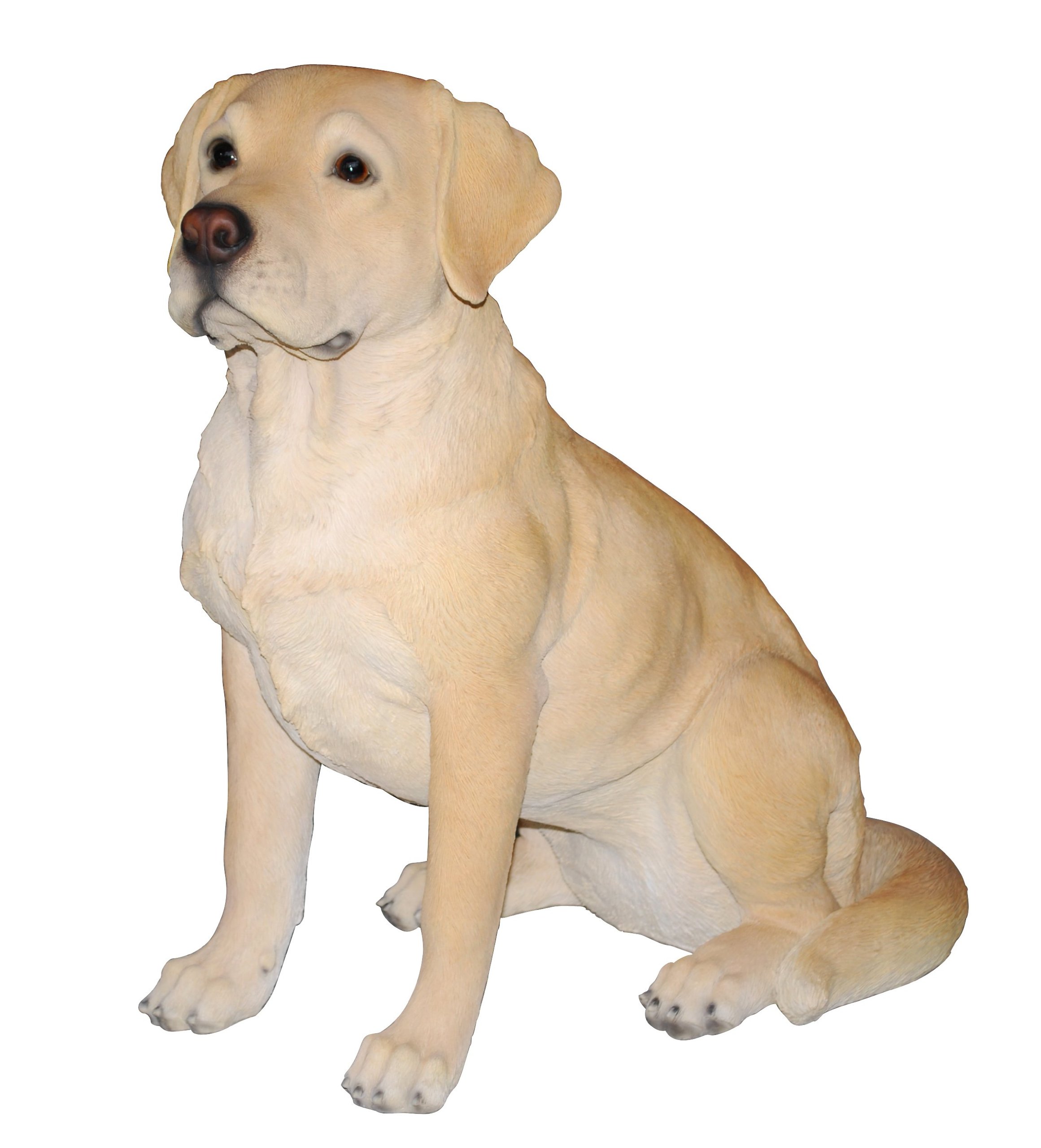 Vivid Arts Size D Real Life Golden Labrador